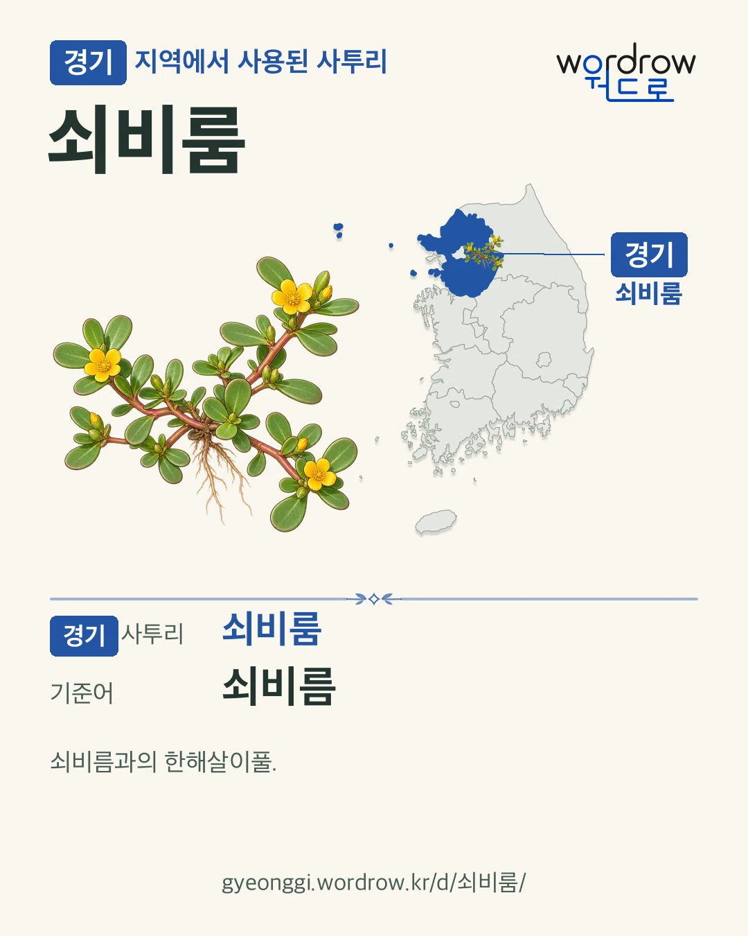 경기 지역에서 사용된 사투리 ‘쇠비룸’. 기준어: 쇠비름. 기록 지역을 표시한 카툰 삽화와 지도 카드.