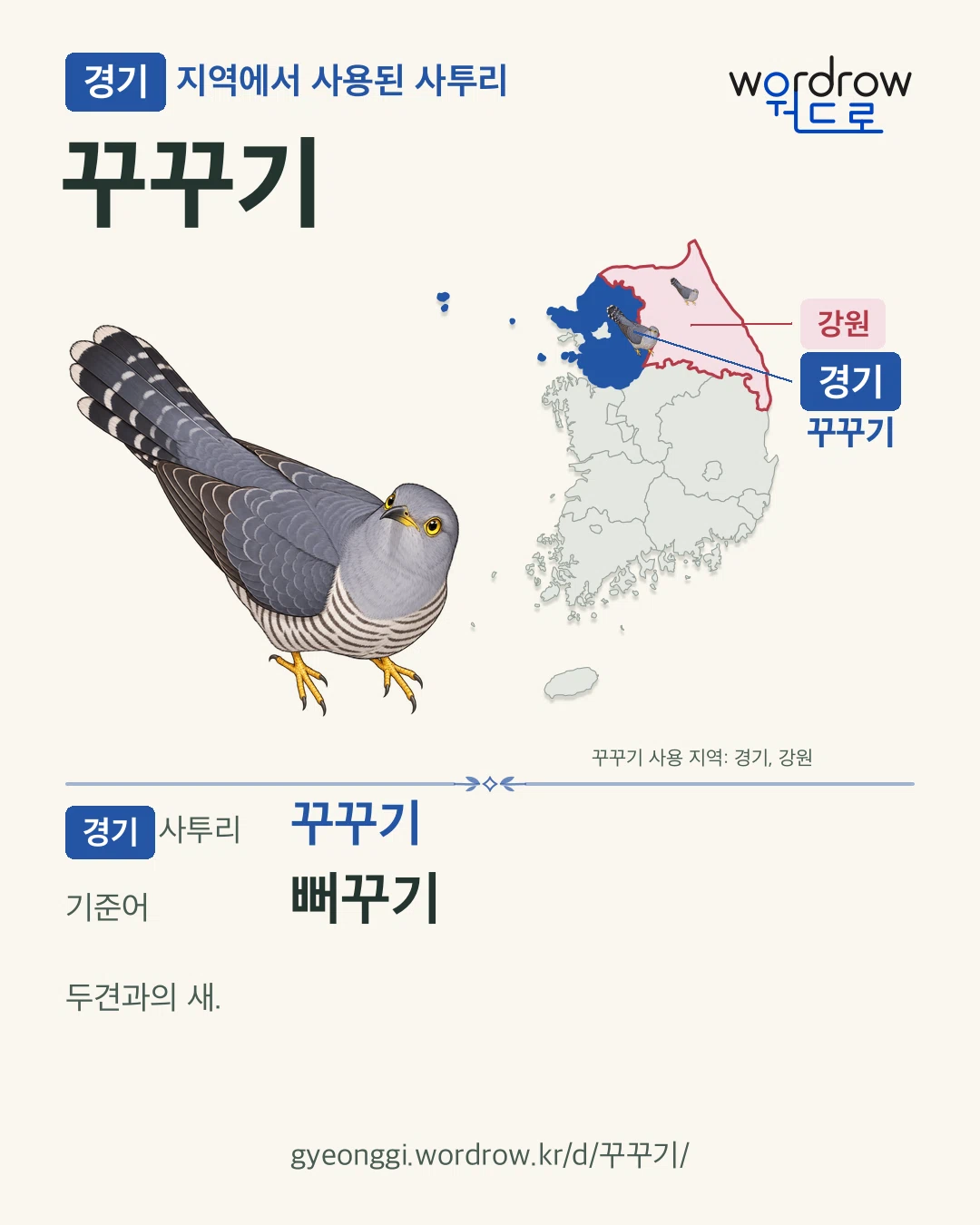 경기 지역에서 사용된 사투리 ‘꾸꾸기’. 기준어: 뻐꾸기. 기록 지역을 표시한 카툰 삽화와 지도 카드.