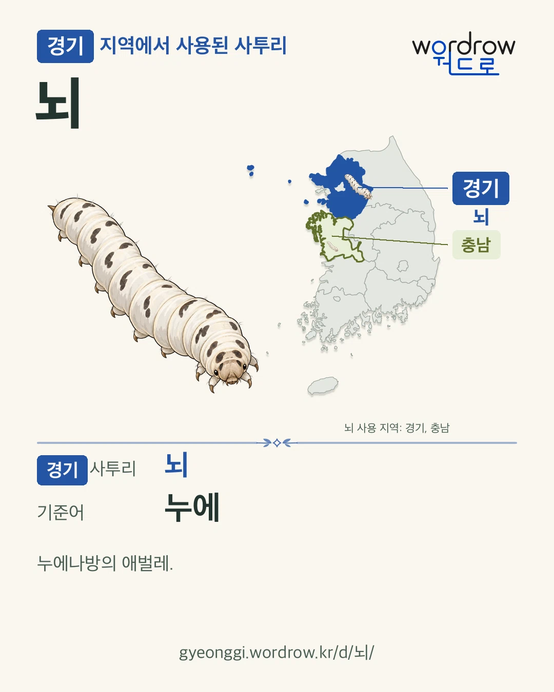 경기 지역에서 사용된 사투리 ‘뇌’. 기준어: 누에. 기록 지역을 표시한 카툰 삽화와 지도 카드.