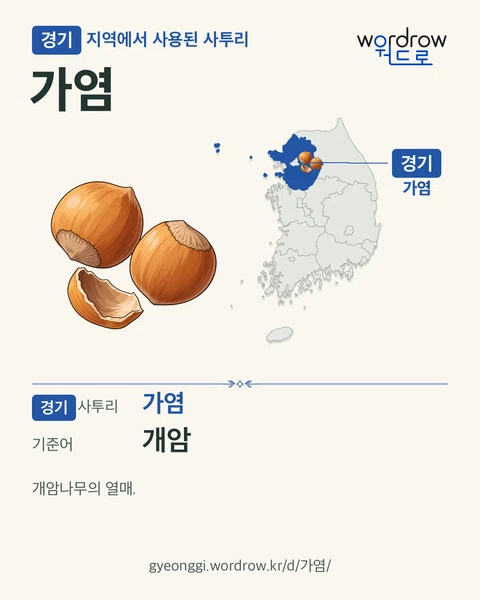 경기 지역에서 사용된 사투리 ‘가염’. 기준어: 개암. 기록 지역을 표시한 카툰 삽화와 지도 카드.