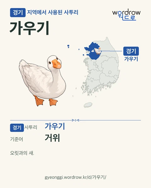 경기 지역에서 사용된 사투리 ‘가우기’. 기준어: 거위. 기록 지역을 표시한 카툰 삽화와 지도 카드.